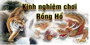 kinh nghiệm chơi rồng hổ